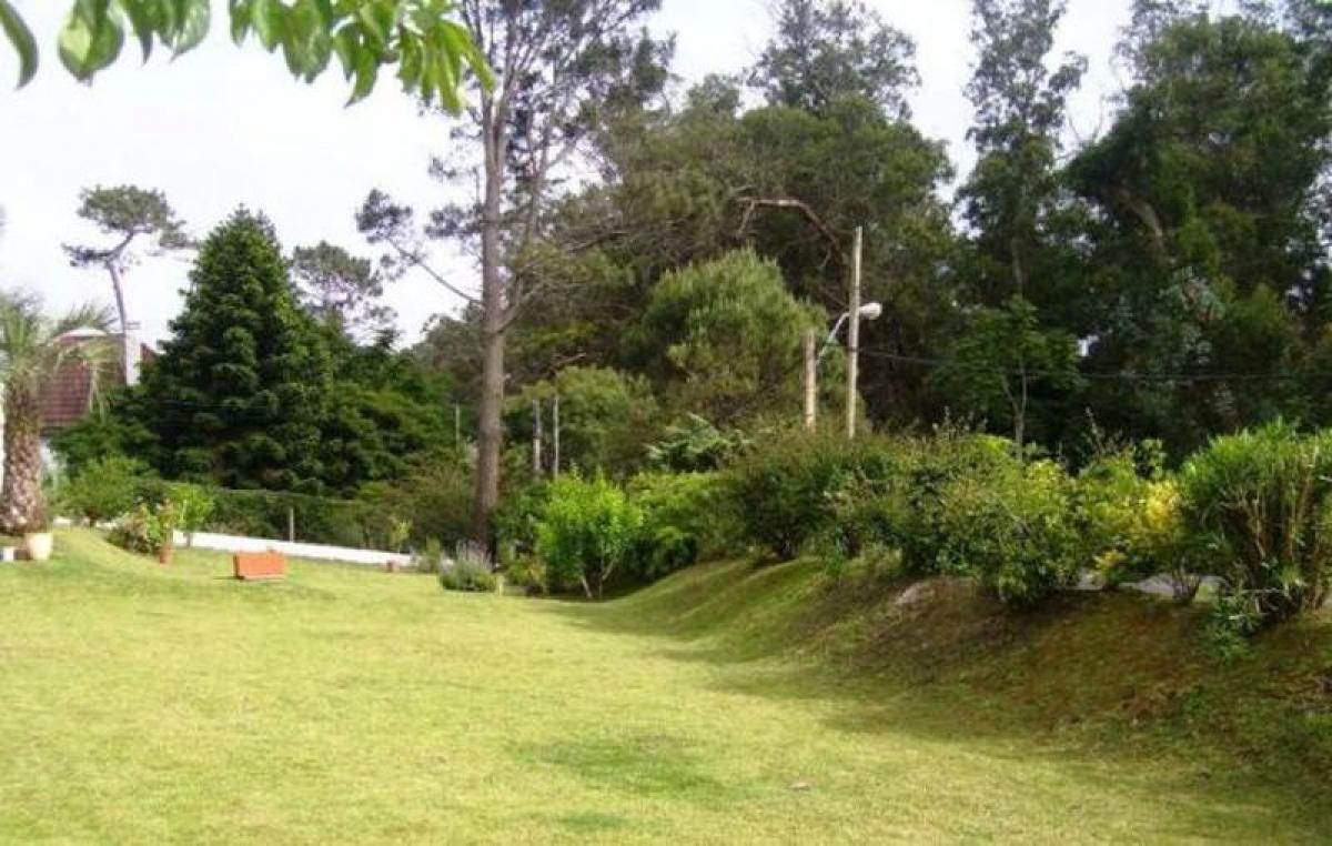 Terrain à Maldonado, Uruguay No. 16092