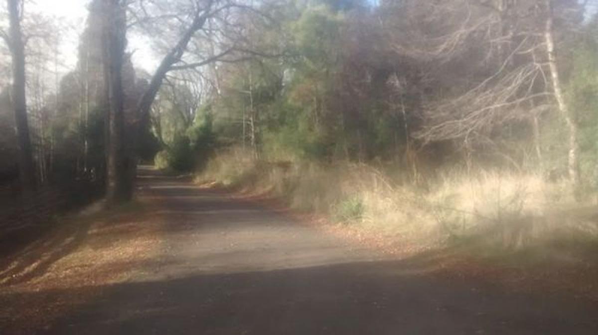 Grundstück in Neuquen, Argentina, Nr. 35315