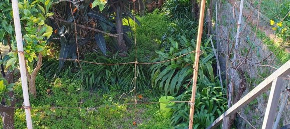 4 rooms Villa in Messina, Italy No. 234006 20