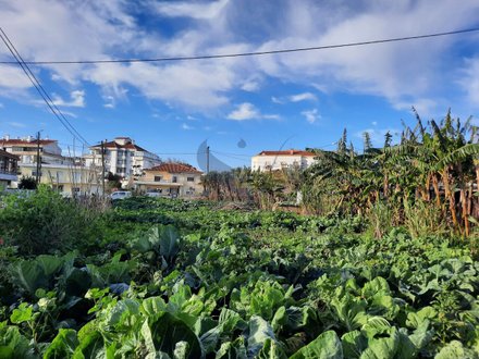 Terreno em Sintra, Portugal 1800 m² N.º 46602
