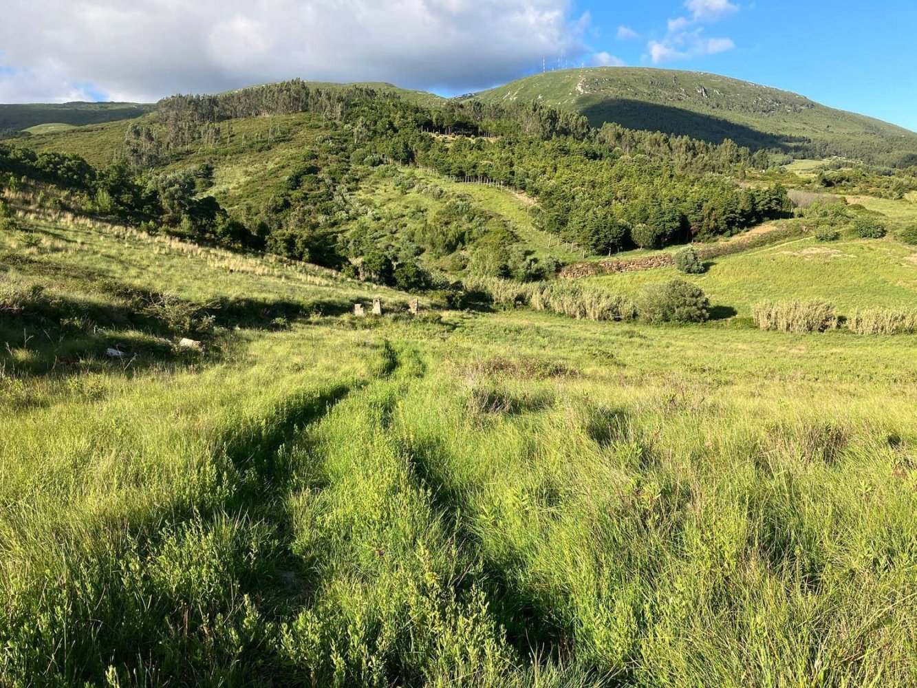 2 Schlafzimmer Haus in Vila Verde dos Francos, Portugal, Nr. 230066