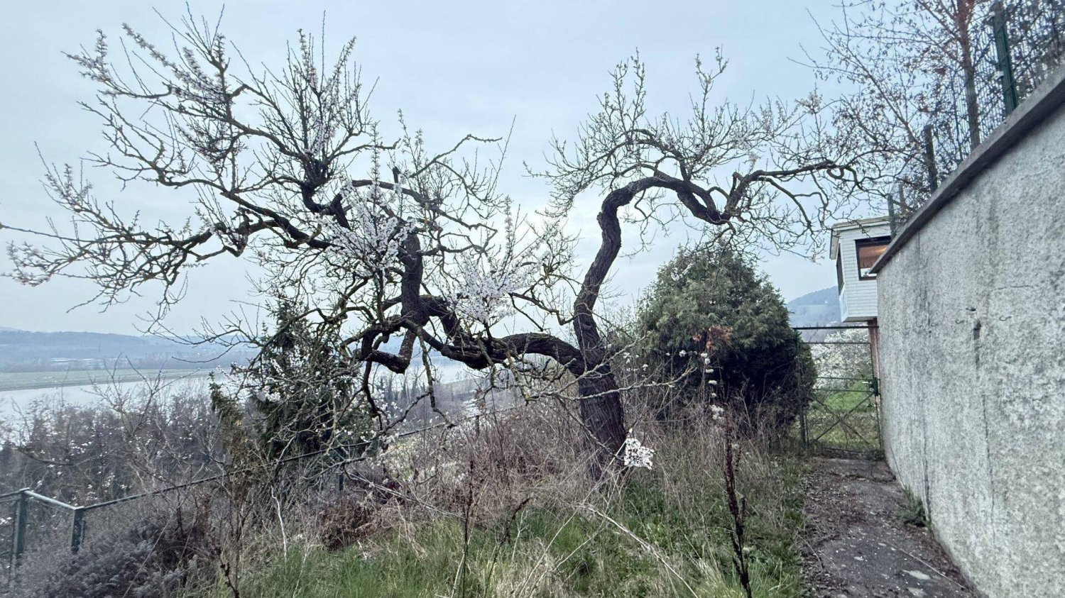 Дом с 10 комнатами в Лайбен, Австрия № 173638