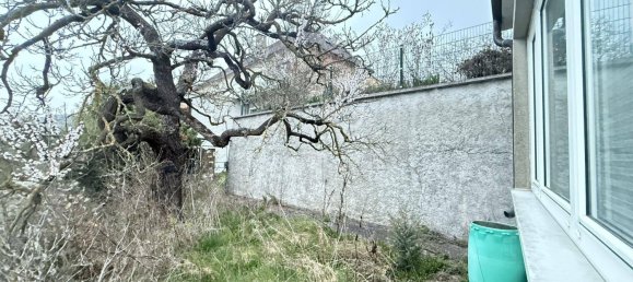 Дом с 10 комнатами в Лайбен, Австрия № 173638 6