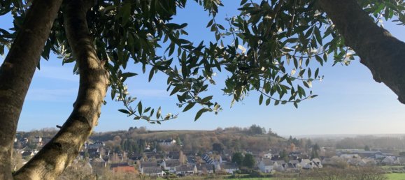 2 bedrooms Villa in Vernou-sur-Brenne, France No. 39582 4