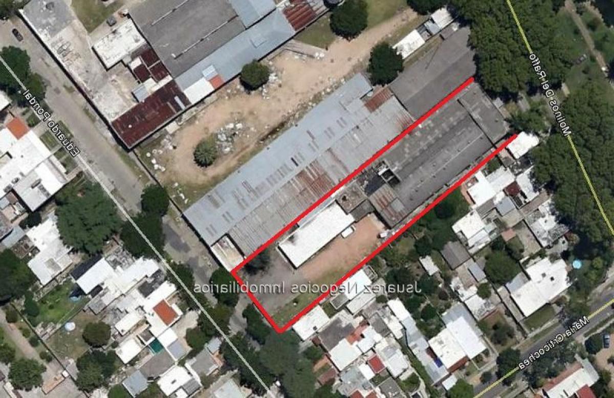 Gebäude in Montevideo, Uruguay, Nr. 16347