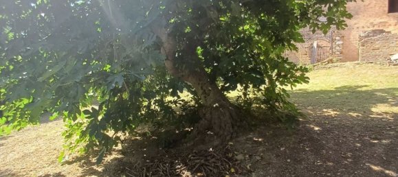 4-Zimmer Villa in Città Sant'Angelo, Italy, Nr. 124953 36