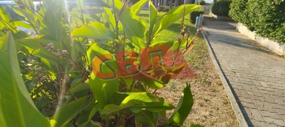 4-salle Appartement à Livorno, Italy No. 290697 27