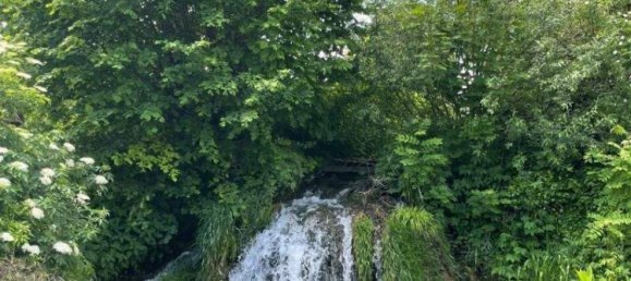 7 rooms House in Winzendorf-Muthmannsdorf, Austria No. 135552 3