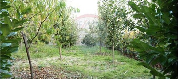 Casa de 3 dormitorios en Baiao, Portugal No. 16825 46