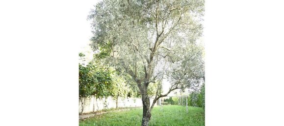 Casa de 3 dormitorios en Baiao, Portugal No. 16825 41