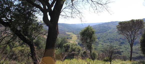 Замки и поместья с 7 спальнями в Силгейруш, Португалия № 58259 27