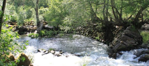 Замки и поместья с 7 спальнями в Силгейруш, Португалия № 58259 19