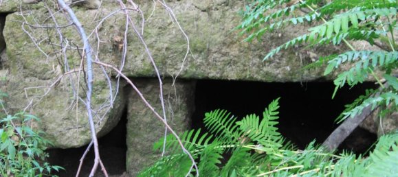 Замки и поместья с 7 спальнями в Силгейруш, Португалия № 58259 9