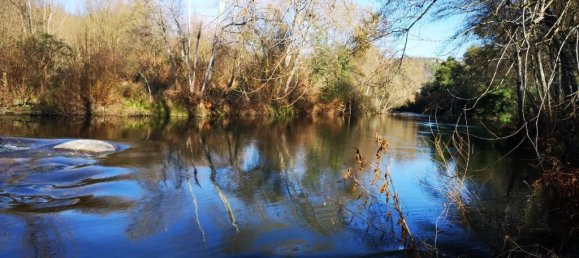 Замки и поместья с 7 спальнями в Силгейруш, Португалия № 58259 24