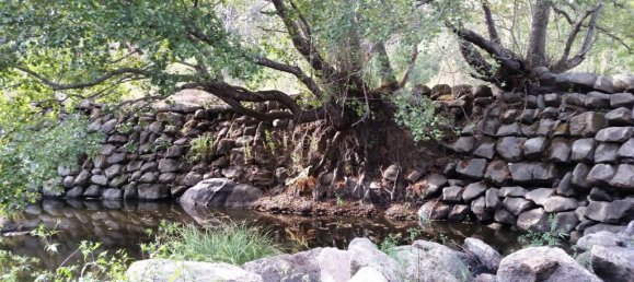 Замки и поместья с 7 спальнями в Силгейруш, Португалия № 58259 13