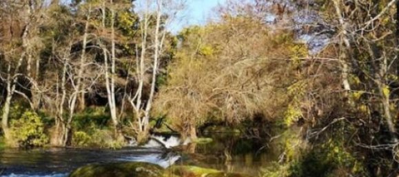 Замки и поместья с 7 спальнями в Силгейруш, Португалия № 58259 25