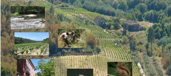 Замки и поместья с 7 спальнями в Силгейруш, Португалия № 58259 40