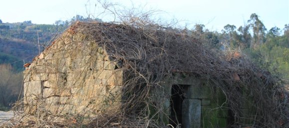 Замки и поместья с 7 спальнями в Силгейруш, Португалия № 58259 45