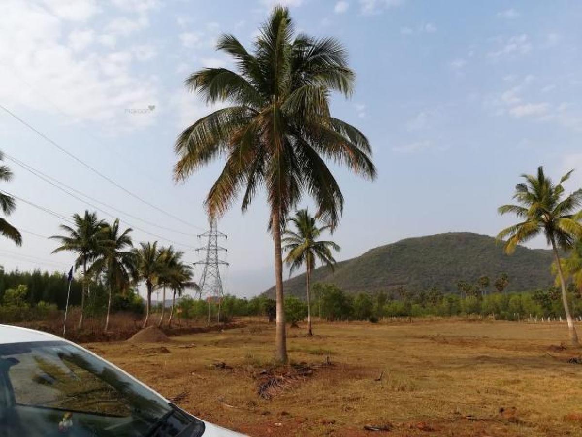  Land in Visakhapatnam, India No. 29846