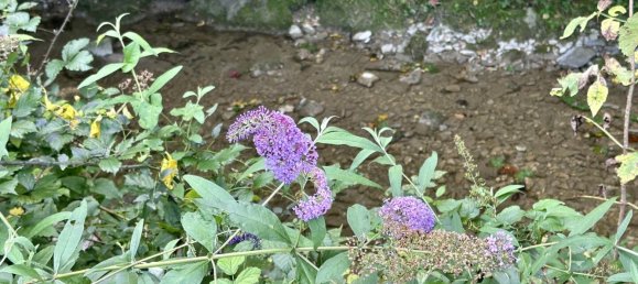 Terrain à Kuchl, Austria No. 128417 2