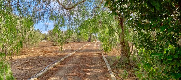 Villa T1 em Sannicola, Italy N.º 86767 11