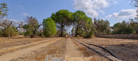 Villa T1 em Sannicola, Italy N.º 86767 16