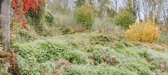 Grundstück in Meuse, France, Nr. 157563 3