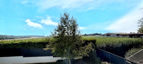 4 bedrooms Villa in Dingsheim, France No. 233061 4