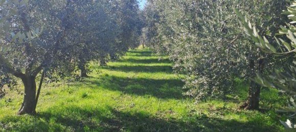 3200m² Land in Polpenazze del Garda, Italy No. 226648 12