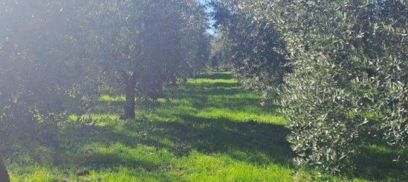 3200m² Land in Polpenazze del Garda, Italy No. 226648 7