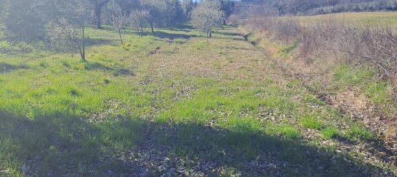 3200m² Land in Polpenazze del Garda, Italy No. 226648 4