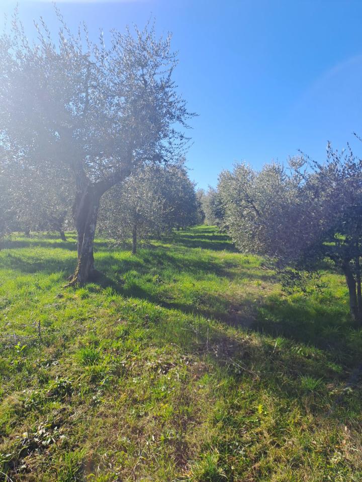 3200m² Land in Polpenazze del Garda, Italy No. 226648