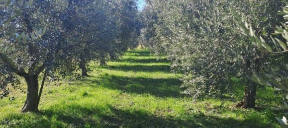 3200m² Land in Polpenazze del Garda, Italy No. 226648 3