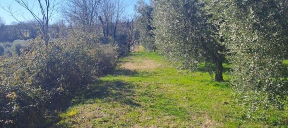 3200m² Land in Polpenazze del Garda, Italy No. 226648 2