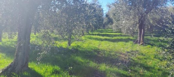 3200m² Land in Polpenazze del Garda, Italy No. 226648 10
