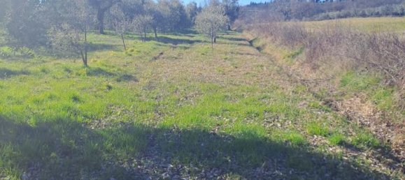 3200m² Land in Polpenazze del Garda, Italy No. 226648 6