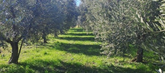 3200m² Land in Polpenazze del Garda, Italy No. 226648 8
