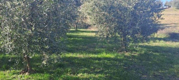 3200m² Land in Polpenazze del Garda, Italy No. 226648 9