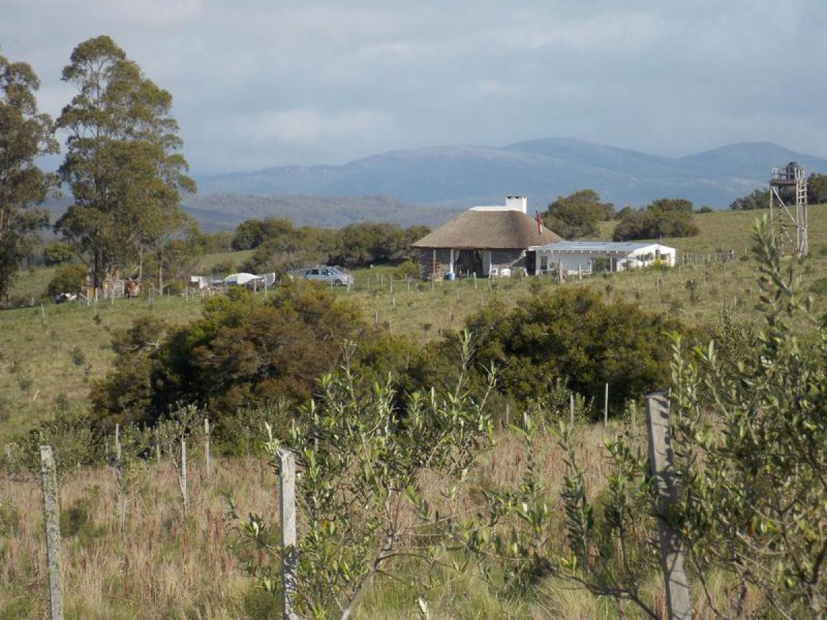 Granja en Maldonado, Uruguay 150 m² No. 14114