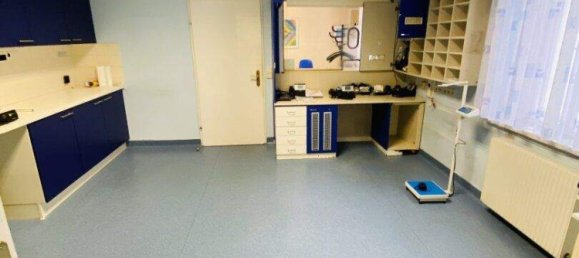 11غرفة فيلا في Knittelfeld, Austria رقم 215833 35