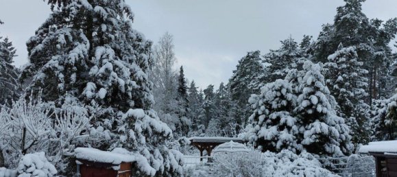 Casa de 6 habitaciónes en Gifhorn, Germany No. 345266 9