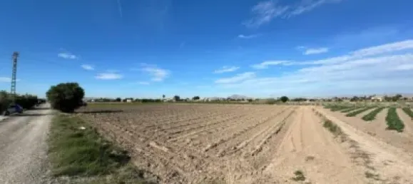 Terreno em Dolores, Spain 4000 m² N.º 134882 2