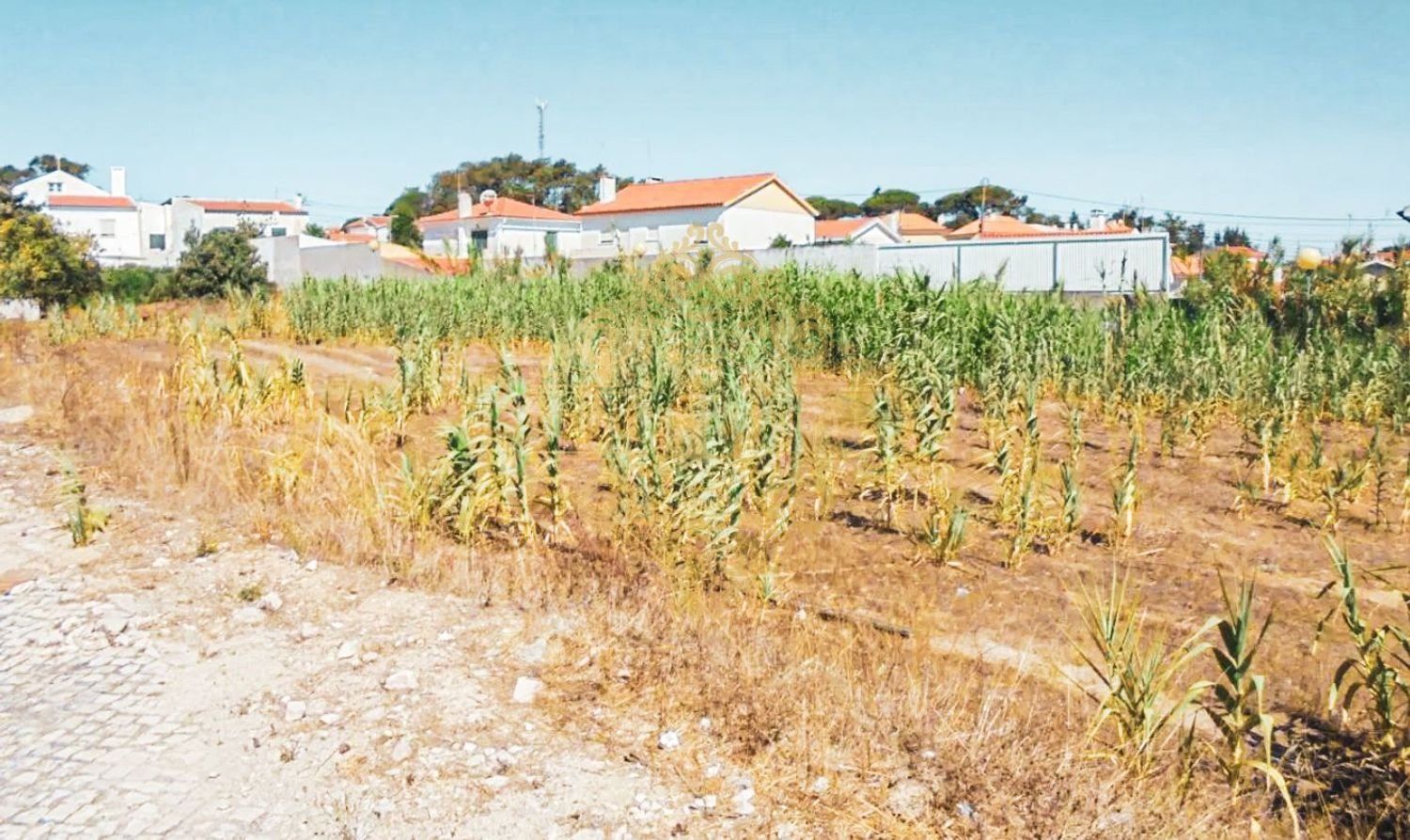 Grundstück in Sesimbra, Portugal 302m², Nr. 143322