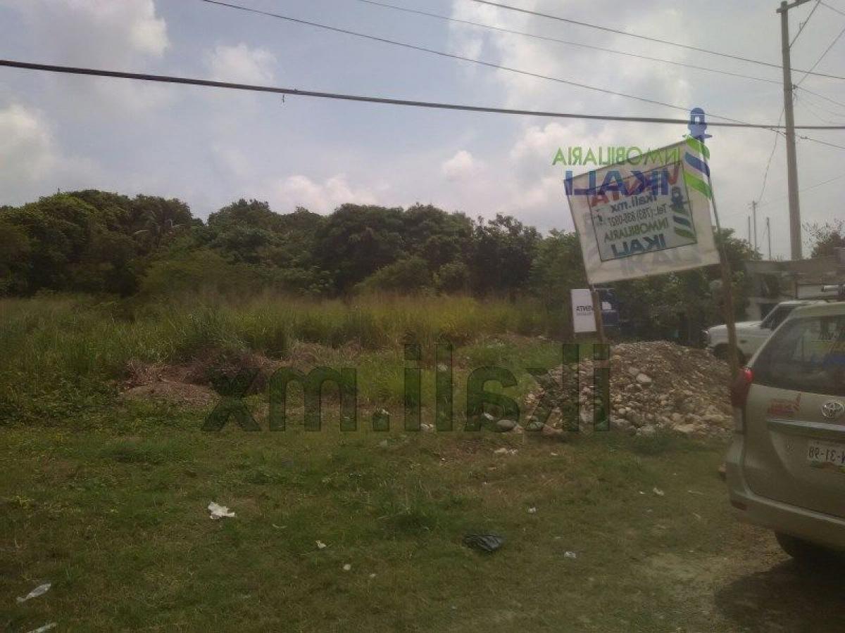 Terrain à Veracruz, Mexico No. 203672