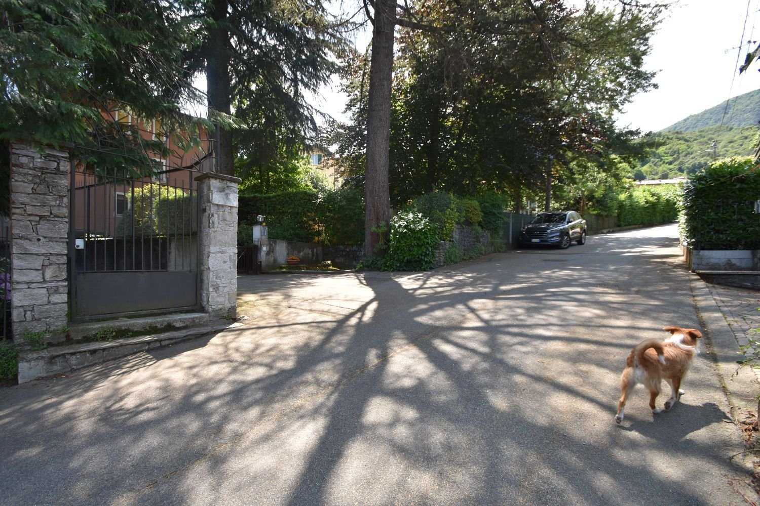 3غرفة شقة في Baveno, Italy رقم 83796