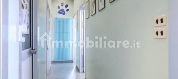 5غرفة عقار تجاري في Grugliasco, Italy رقم 274830 11