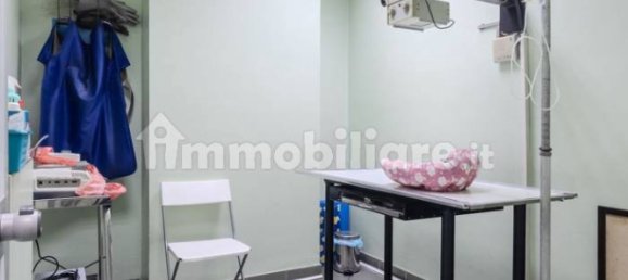 5غرفة عقار تجاري في Grugliasco, Italy رقم 274830 16