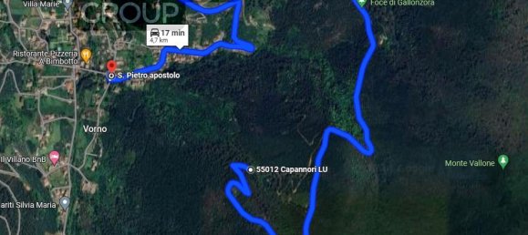 Земельный участок с 1 спальней в Капаннори, Италия № 70592 15