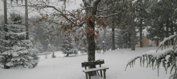  Property في Polygyros, Greece 580متر مربع رقم 5770 12