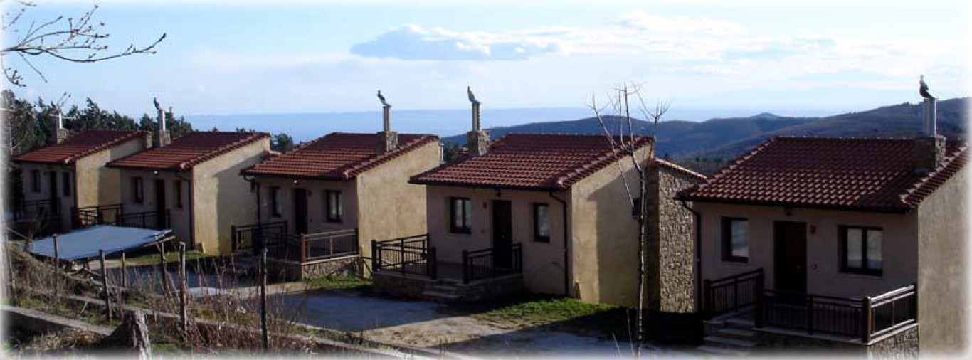  Property في Polygyros, Greece 580متر مربع رقم 5770